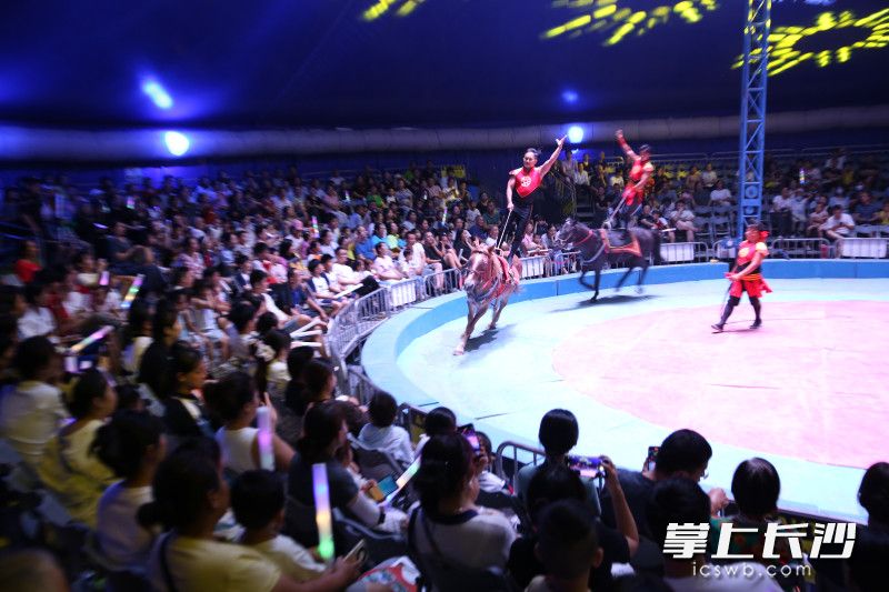 马术表演震撼登场，演员们挥舞马鞭，在马背上“倒挂金钩”，每一个动作都让人惊心动魄。 通讯员 高兴 摄