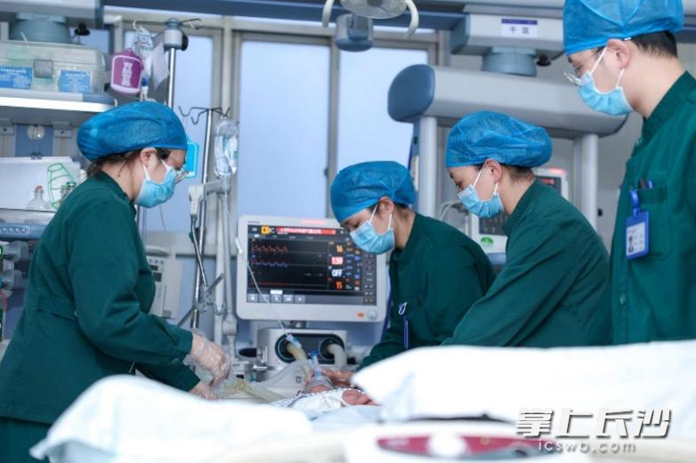 长沙市中心医院急诊医学中心重症监护室医护人员对患者展开救治。 均为通讯员供图