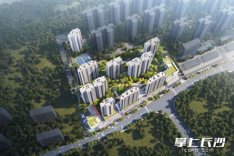 项目效果图。
