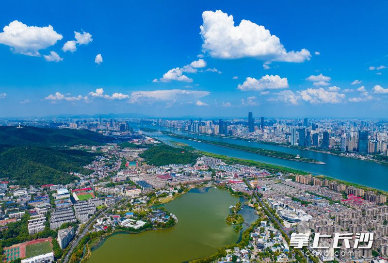 蓝天白云下的后湖片区。 均为长沙晚报全媒体记者邹麟摄