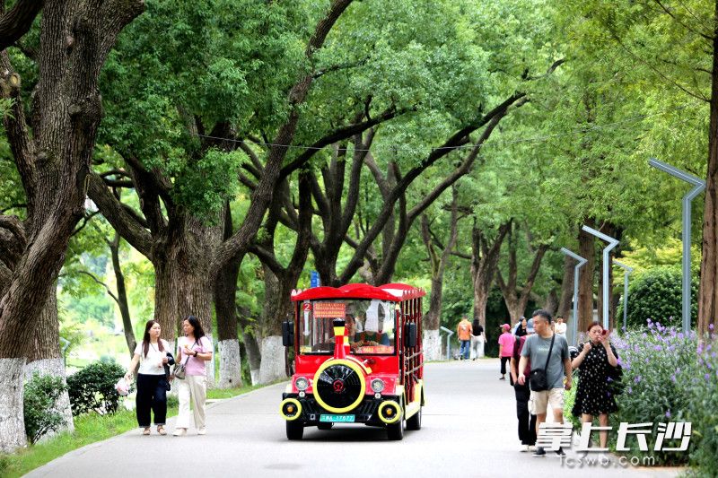 市民在公园里乐享凉爽的惬意。