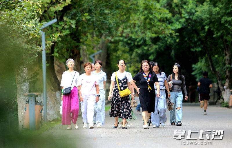 今日，长沙降温，湖南烈士公园迎市民“清凉之约”。均为长沙晚报全媒体记者贺文兵摄