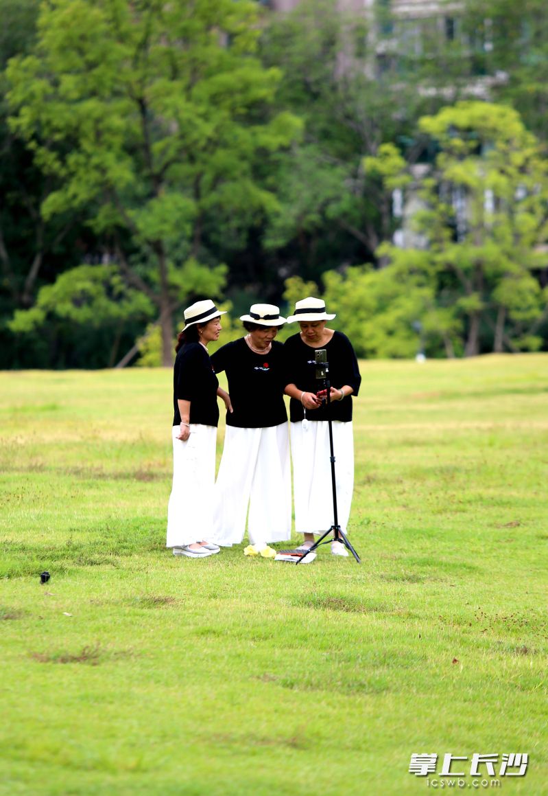 三名市民在草坪上拍视频。