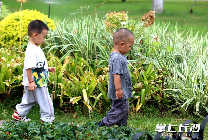 两名小孩在游园。