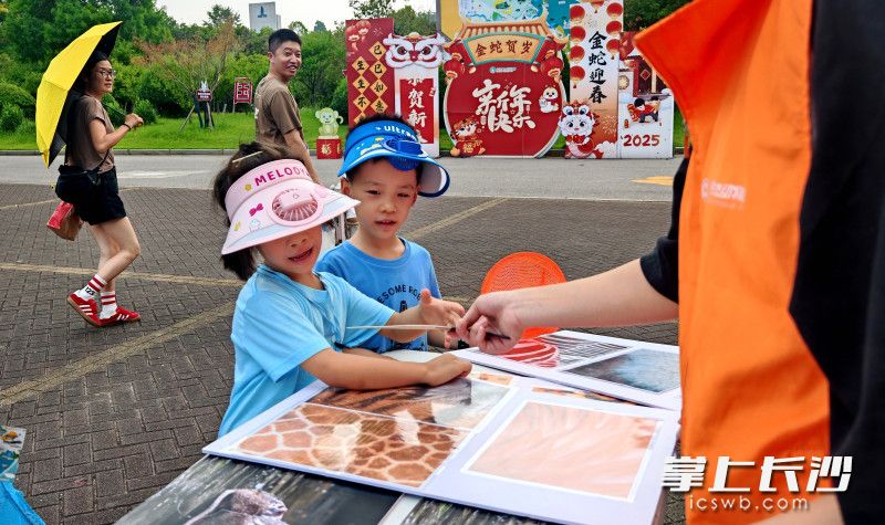 小朋友在看图识动物。