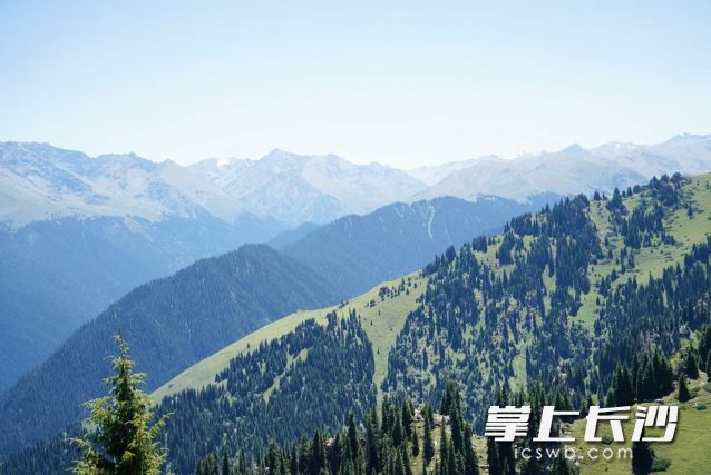 凉风冷雨“组团”来袭,长沙气温持续走低。  均为长沙晚报全媒体记者舒元臻摄 凉风冷雨“组团”来袭,长沙气温持续走低。  均为长沙晚报全媒体记者舒元臻摄