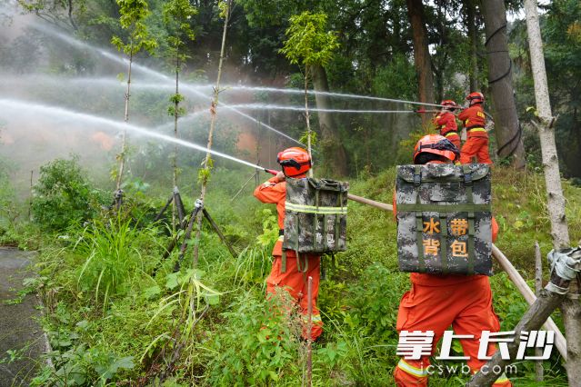 救援队伍从多个灭火进攻点架设水枪阵地。