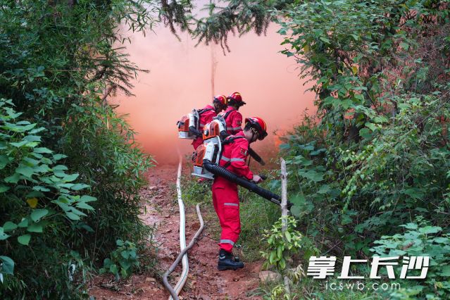 风力突然加大，地表“火”迅速蔓延。