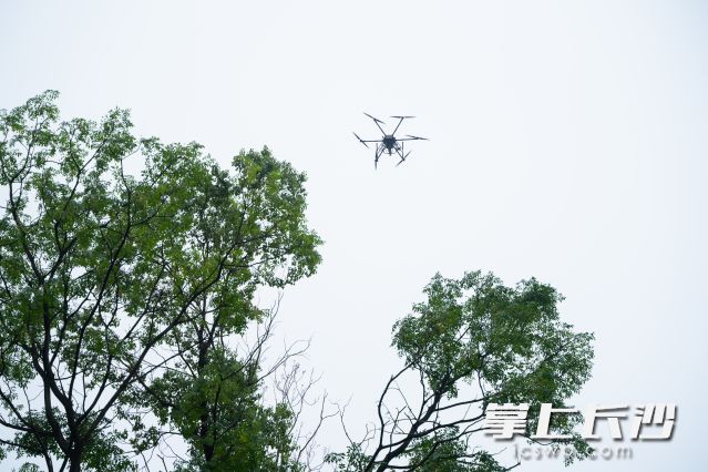 演练以“科技赋能、立体防控、全域协同”为核心，全面展现了“人防+技防+智防”森林防灭火体系升级成果。