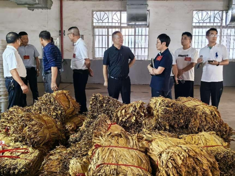 永安镇人大代表走进烟草站全程跟踪烟叶收购过程,守护烟农利益。 永安镇人大代表走进烟草站全程跟踪烟叶收购过程,守护烟农利益。