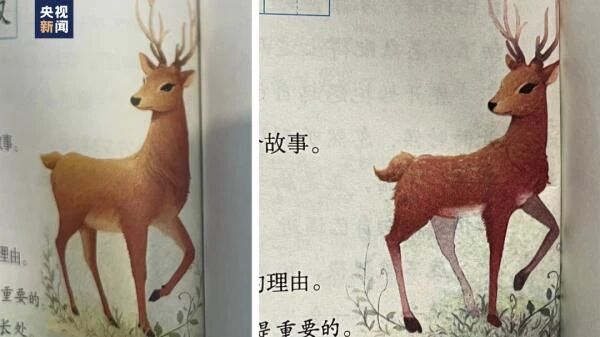 新（左）旧（右）教材插画对比，小鹿身上的斑点没了。图源：央视新闻