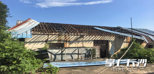 屋顶被大风刮跑。 屋顶被大风刮跑。