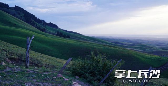 未来五天长沙以阴雨天气为主。  长沙晚报全媒体记者 舒元臻 摄