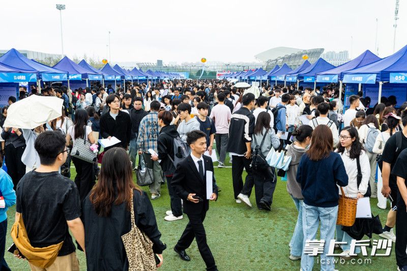 招聘现场人气爆棚。