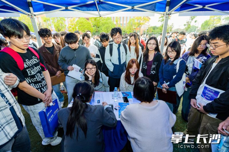 湖南恩智测控技术有限公司展位招聘现场。