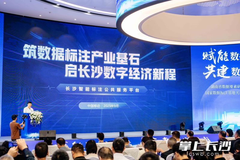 长沙智能标注公共服务平台重磅发布。 均为通讯员供图