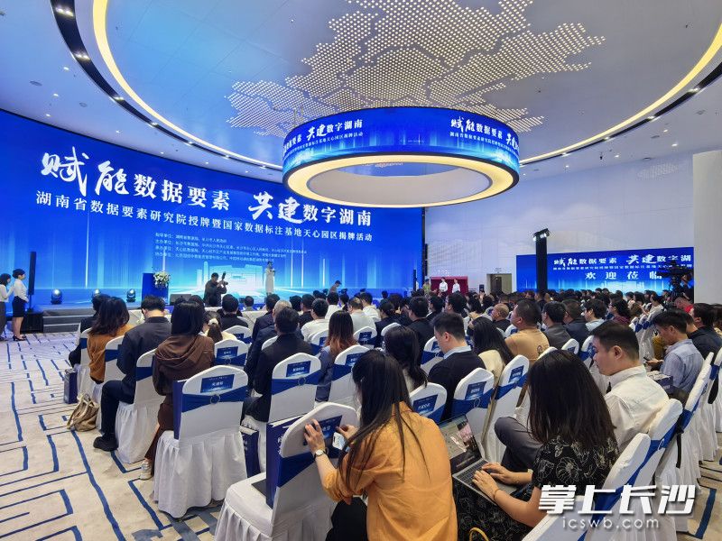 活动现场。 均为长沙晚报全媒体记者匡小娟摄