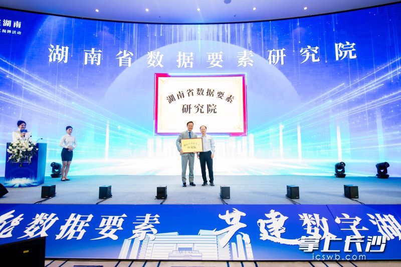 湖南省数据要素研究院正式成立。
