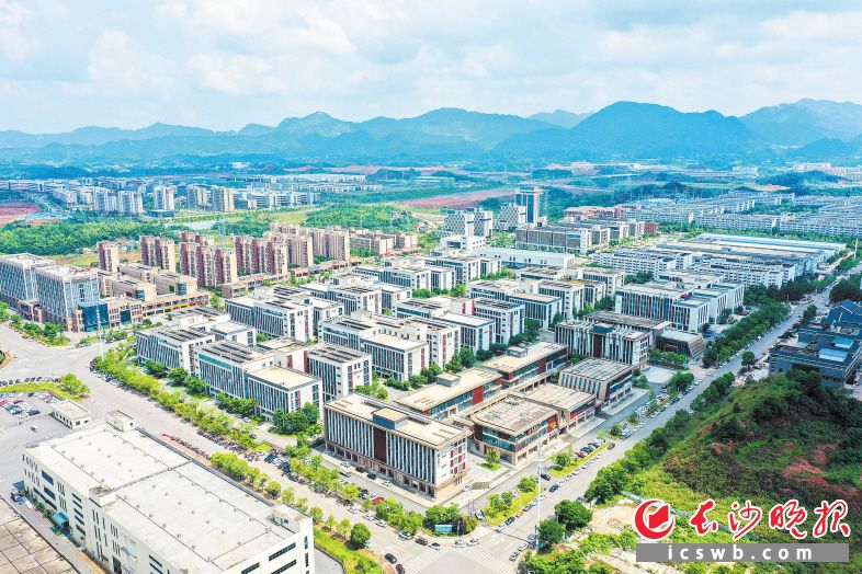 随着一个个重点项目签约落地，金阳科创城建设正全面提速。图为金阳科创城一角。长沙晚报全媒体记者 余劭劼 摄