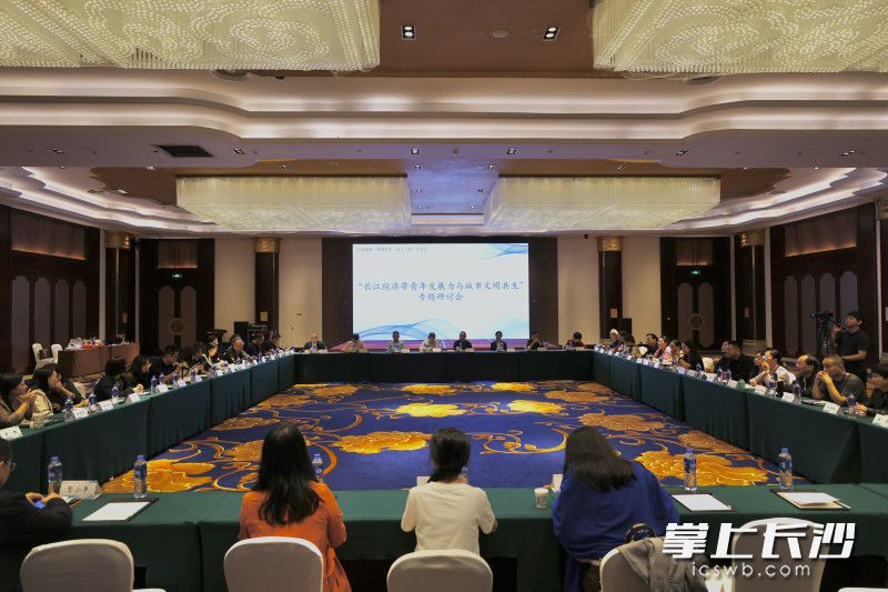 研讨会现场。