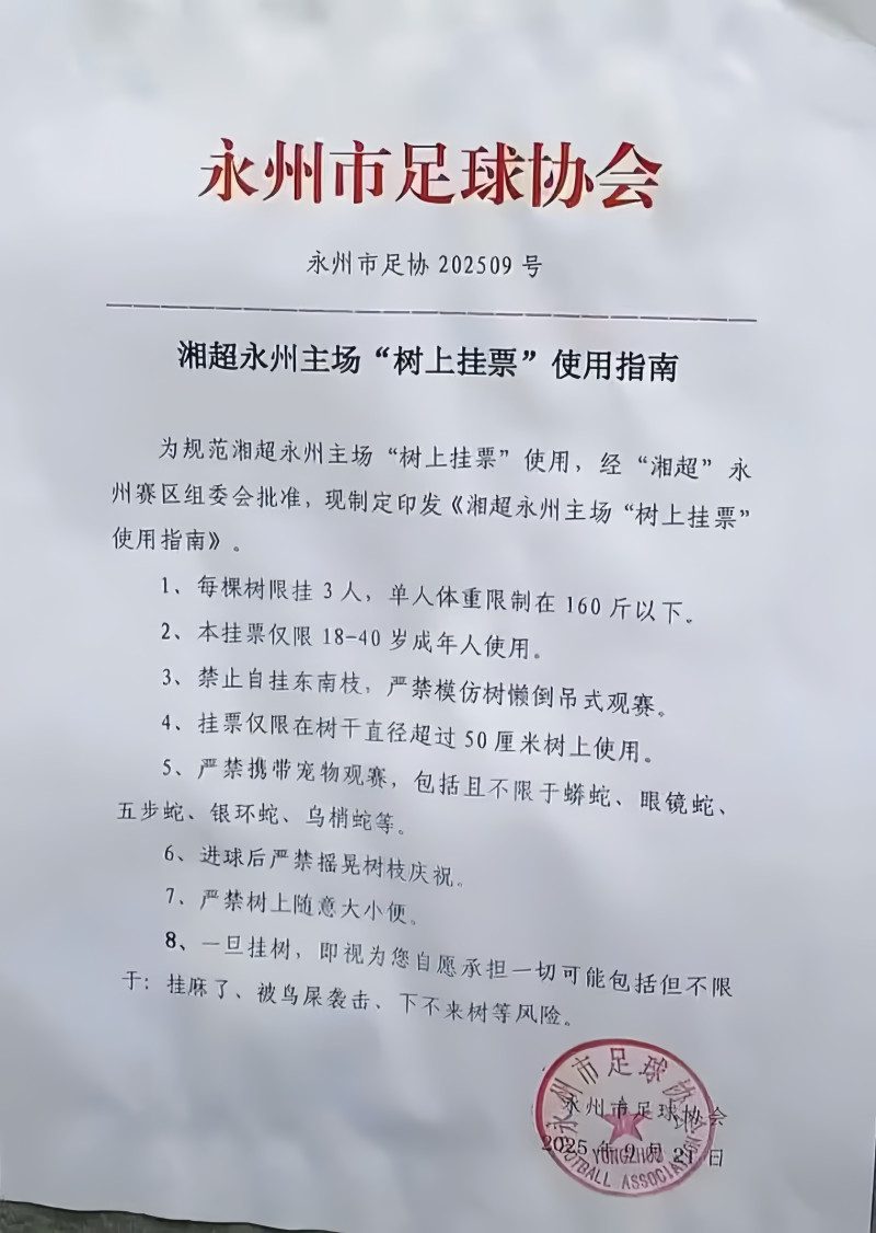 《湘超永州主场“树上挂票”使用指南》。图源：上游新闻
