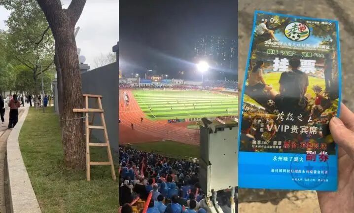 “树上挂票”观赛视角。图源：九派新闻