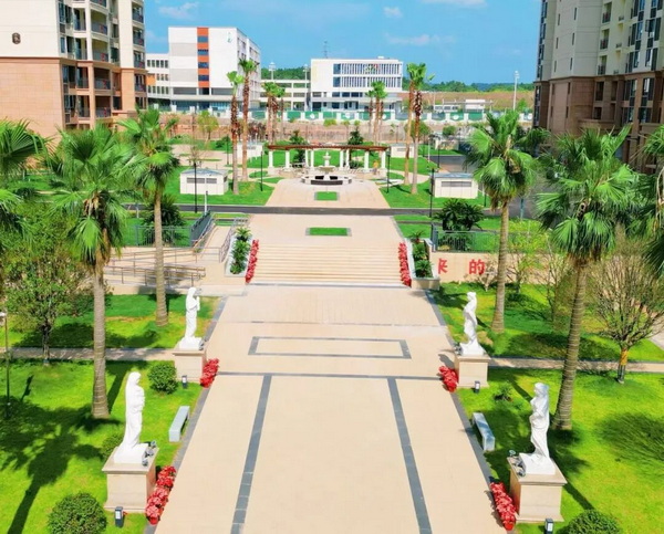 绿化实景。 绿化实景。