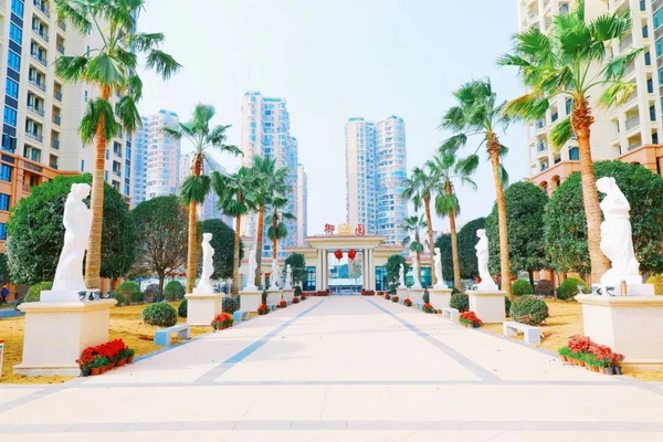 项目实景。 项目实景。