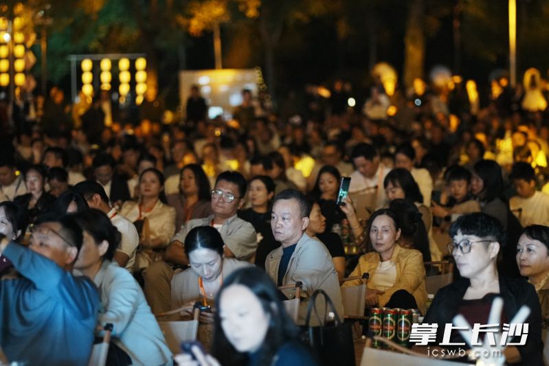 观众享受音乐。 观众享受音乐。