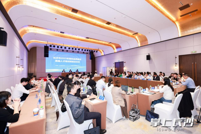2025年长沙市商标品牌建设高端人才培训班结业仪式现场。 通讯员供图