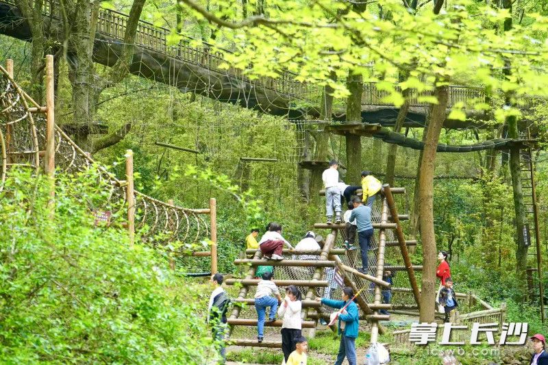 感受自然治愈力。