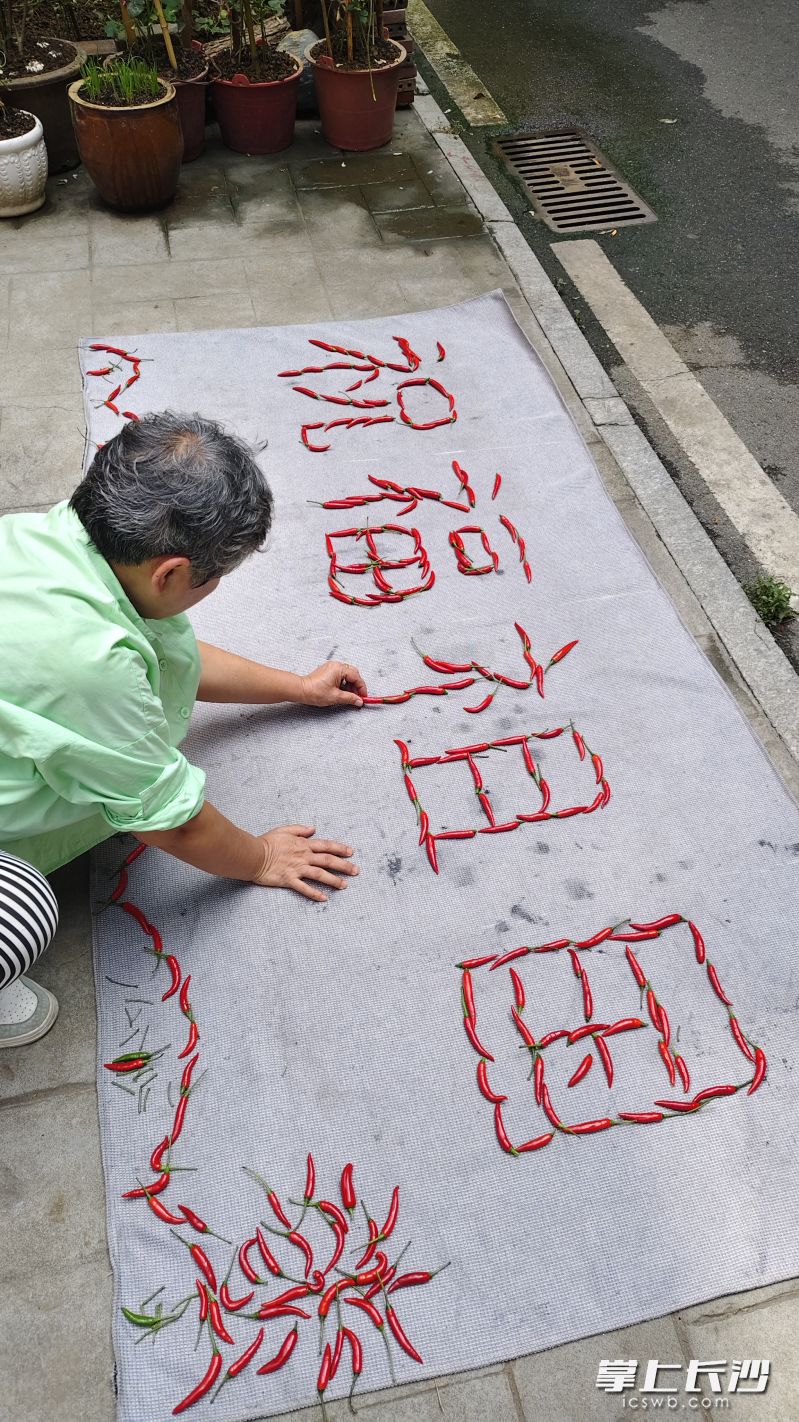 国庆佳节到来之际，湖南湘江新区望月湖街道湖东社区居民高燕，用小米辣拼出一幅长2米、宽1米的立体画“祝福祖国”。  长沙晚报全媒体记者 周小华 摄