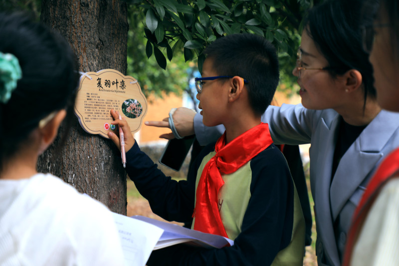 现场互动热烈，孩子们对植物世界的好奇心展露无遗。