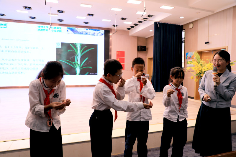 讲座中，专家借助实物标本、图片，讲解常见植物特征、习性及生态价值。