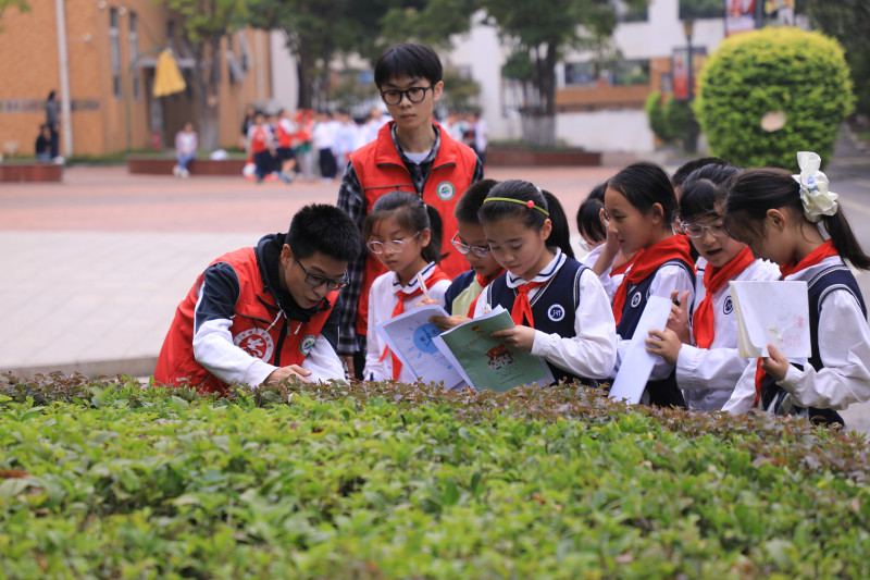 孩子们在观察校园植物。均为湖南省植物园供图。