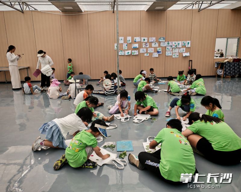 孩子们席地而坐,探索植物的奥秘。 均为长沙晚报全媒体记者佘倩文摄 孩子们席地而坐,探索植物的奥秘。 均为长沙晚报全媒体记者佘倩文摄