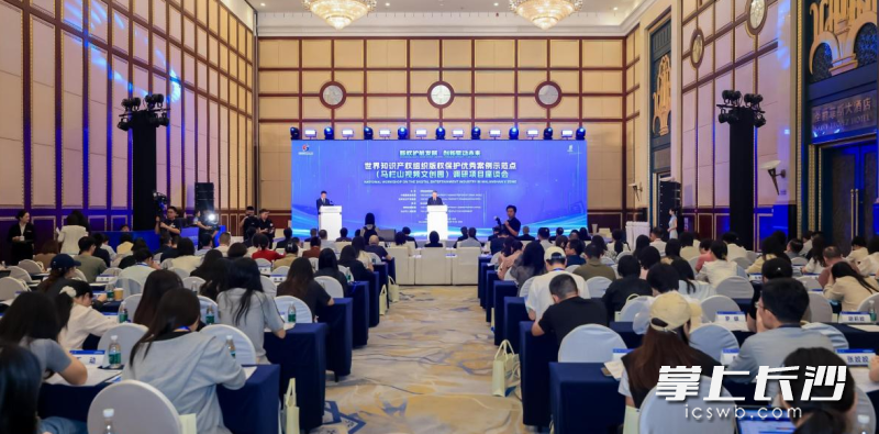 “版权护航发展 创新驱动未来”——世界知识产权组织版权保护优秀案例示范点（马栏山视频文创园）调研项目座谈会在长沙召开。 均为市委宣传部供图