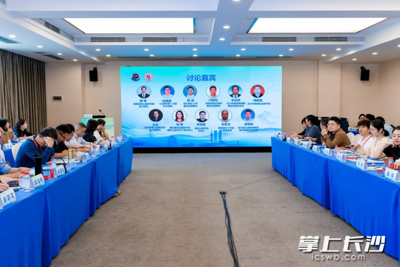 研讨会现场，专家们深入探讨多层次医疗保障服务体系建设。 长沙晚报通讯员 周如 摄
