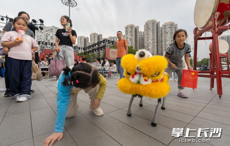 机器狗套上了传统舞狮的面具,备受孩子们喜爱。 机器狗套上了传统舞狮的面具,备受孩子们喜爱。