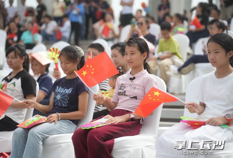 小朋友挥舞国旗观看表演。