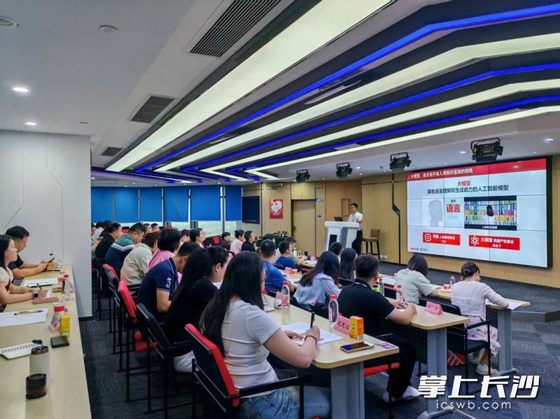 培训通过“专题教学+现场观摩+交流研讨”的形式举行。均为长沙晚报通讯员 雷琬琪 供图