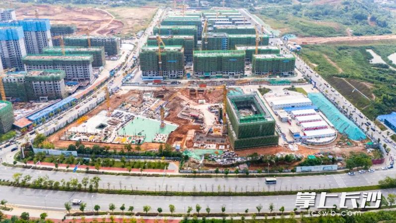 木棉小学项目航拍图。 木棉小学项目航拍图。