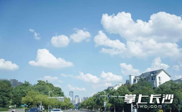 未来一周长沙天天30℃+，最高气温直接冲上36℃。均为长沙晚报全媒体记者 舒元臻 摄