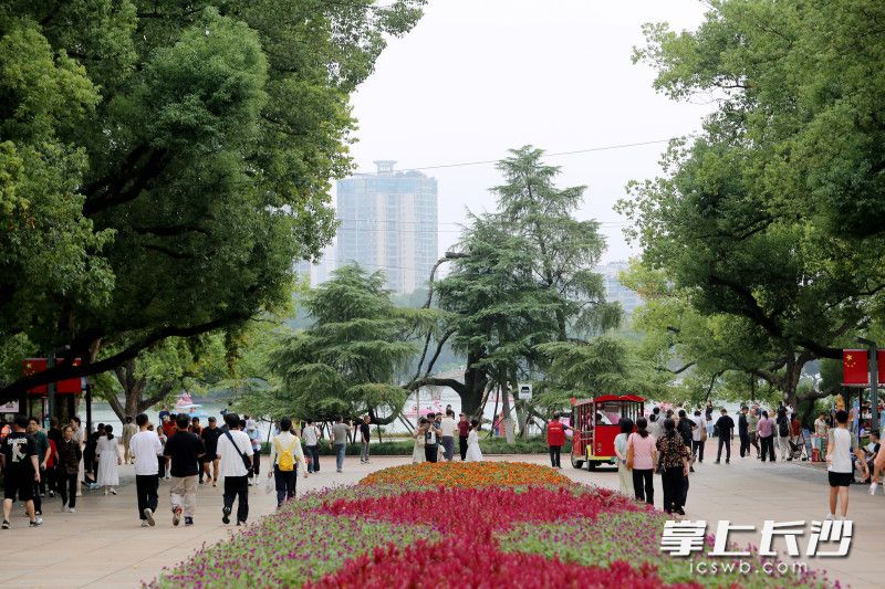 国庆中秋长假期间,湖南烈士公园共接待市民游客16万余人次。 长沙晚报全媒体记者 贺文兵 摄 国庆中秋长假期间,湖南烈士公园共接待市民游客16万余人次。 长沙晚报全媒体记者 贺文兵 摄