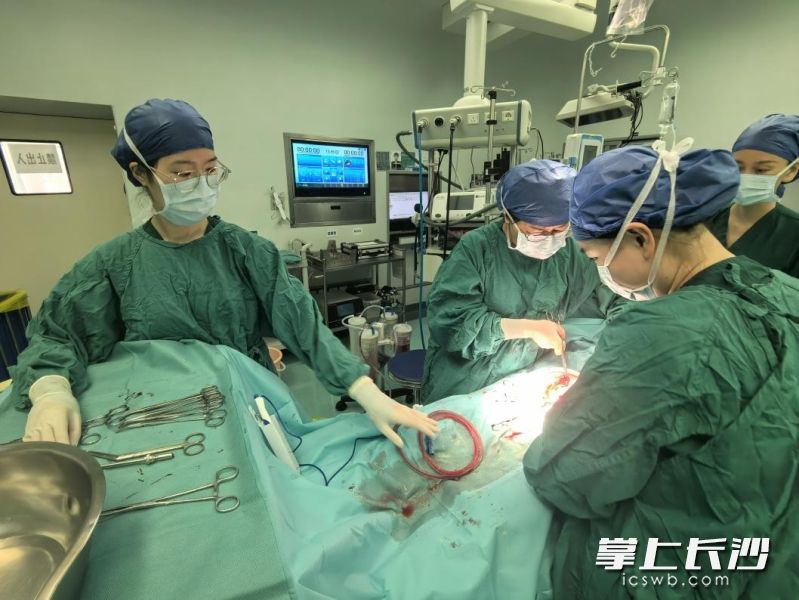 产科手术室的每一个数字背后,都是一个家庭的牵挂与期待。 产科手术室的每一个数字背后,都是一个家庭的牵挂与期待。