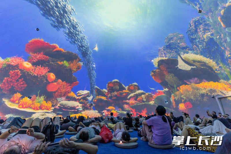 长沙世界之窗耗资3000万元打造的球形影院“奇幻海洋馆”首次开放，这座占地超1400平方米的巨幕影院，以360度沉浸式视觉效果带领观众畅游海底世界。长沙晚报全媒体记者 周数邑 摄