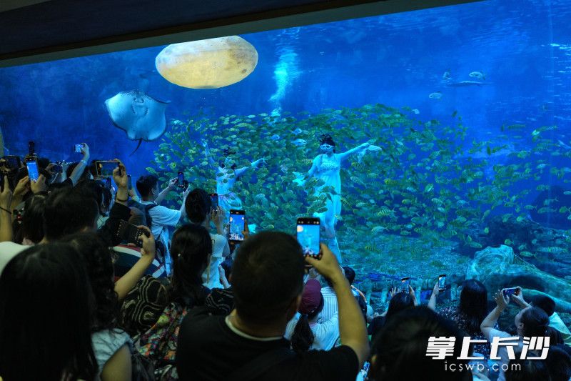 湘江欢乐海洋公园将“嫦娥奔月”的经典神话搬到水下，通过飘逸的古装与柔美的舞姿，为游客呈现了一场视觉盛宴。