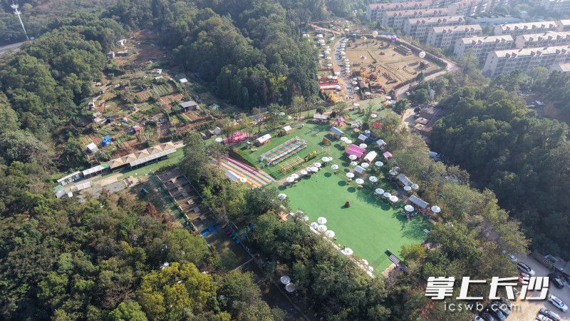国庆假期，长沙溪野花田城市农场凭借“晒秋”新场景与多元体验，成为热门休闲地。 均为长沙晚报全媒体记者邓迪摄