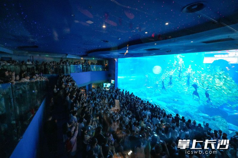 梦幻的场景吸引现场游客驻足。