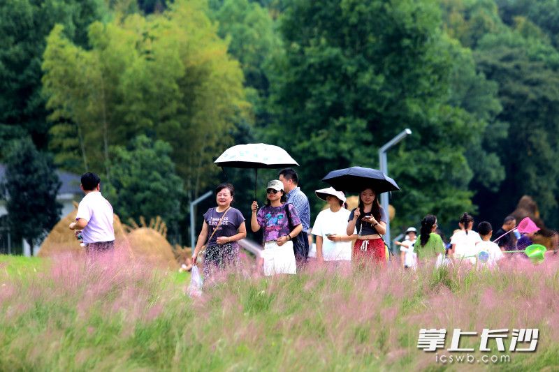 今日,国庆长假进入最后一天,长沙园林生态园仍游人如织。均为长沙晚报全媒体记者 贺文兵 摄 今日,国庆长假进入最后一天,长沙园林生态园仍游人如织。均为长沙晚报全媒体记者 贺文兵 摄